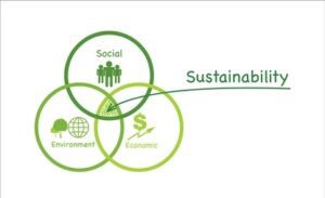 What is Importance of Sustainability