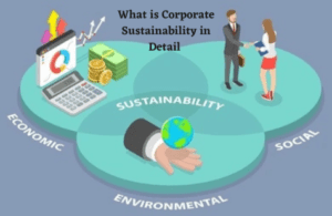 what-is-importance-of-sustainability